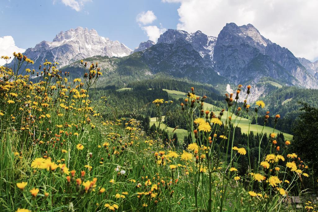 Alpin Lodge Leogang By Alpin Rentals Екстер'єр фото