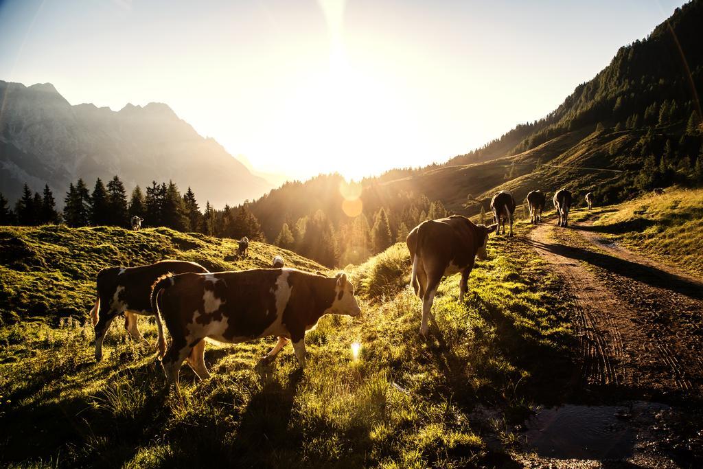 Alpin Lodge Leogang By Alpin Rentals Екстер'єр фото